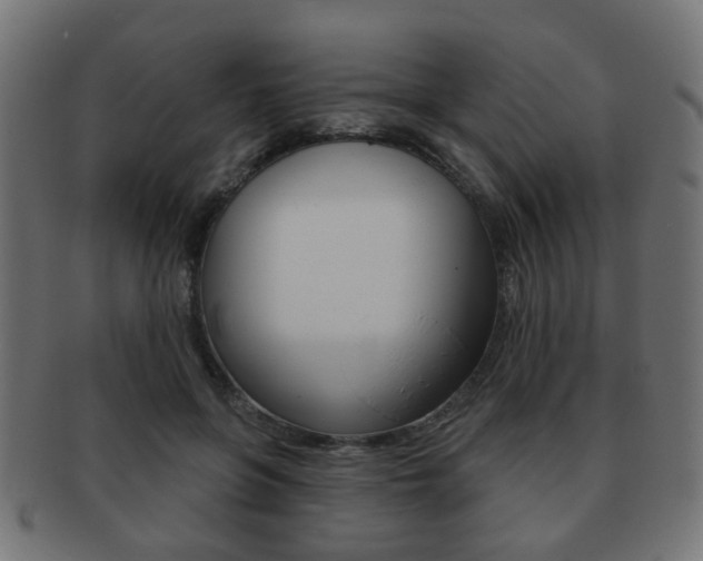 X0000091970551200709061134