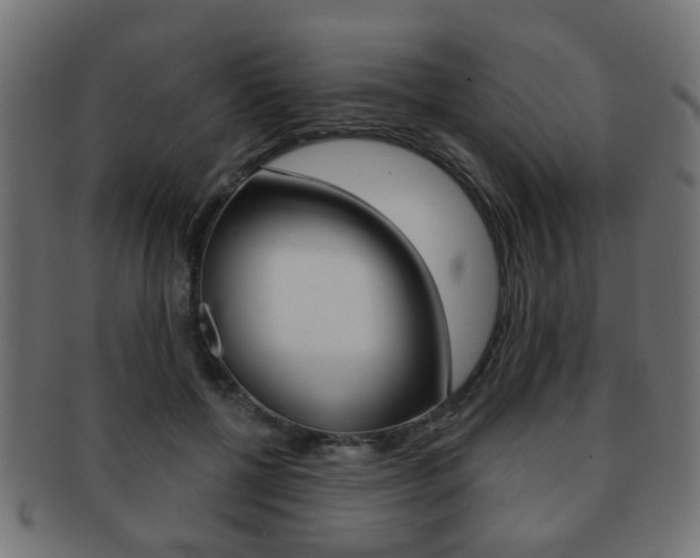 X0000091970552200709061134