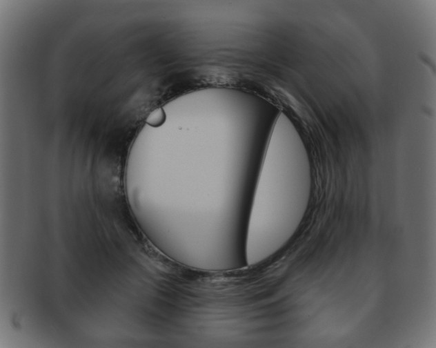 X0000091970553200709061134