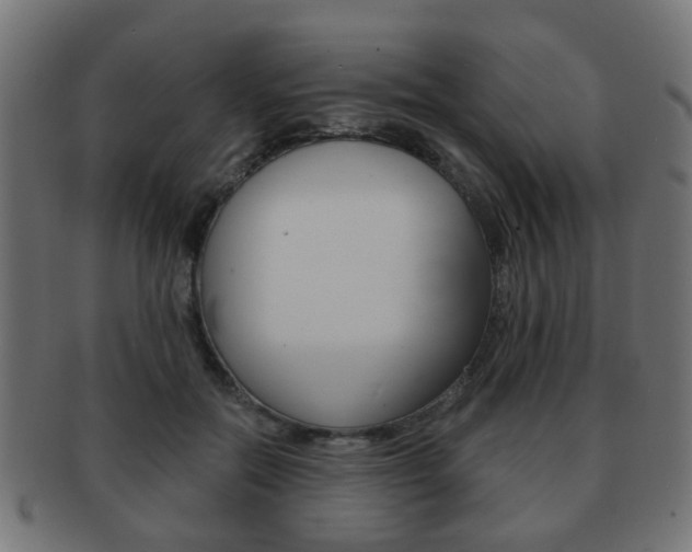 X0000091970554200709061134