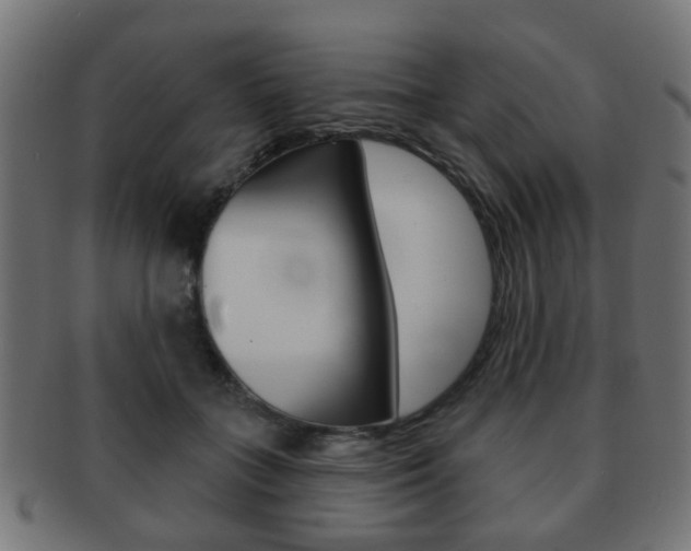 X0000091970555200709061134