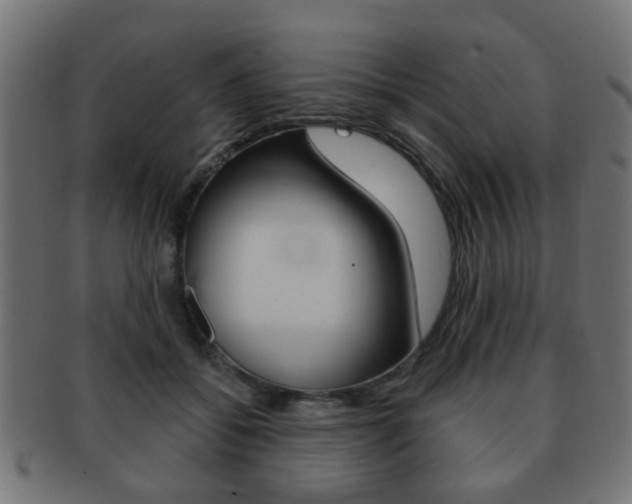 X0000091970556200709061134