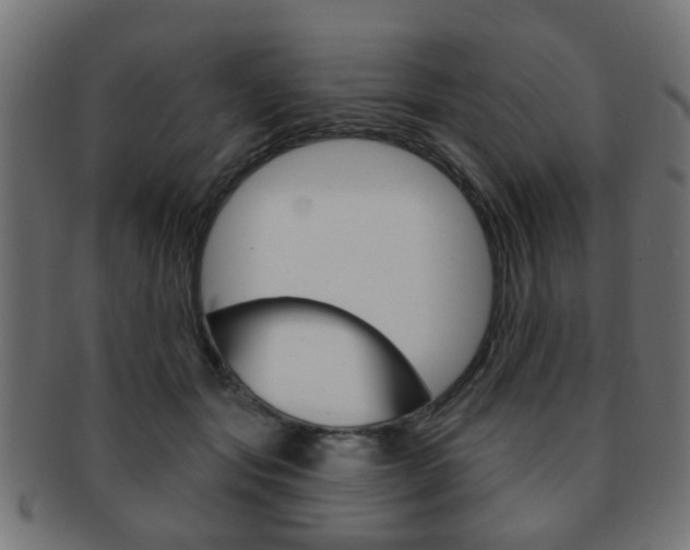 X0000091970557200709061134