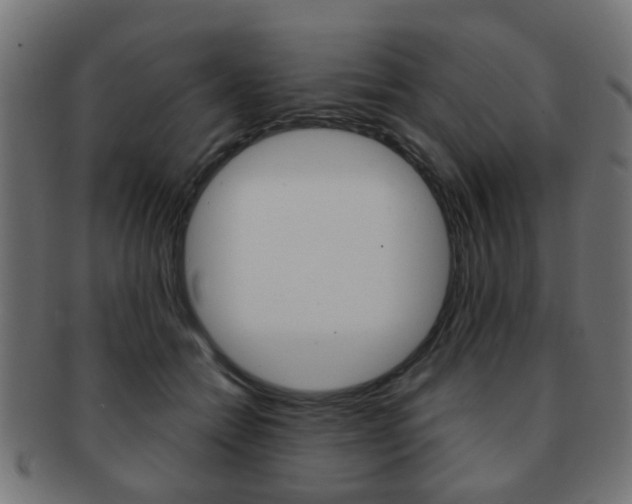 X0000091970558200709061134