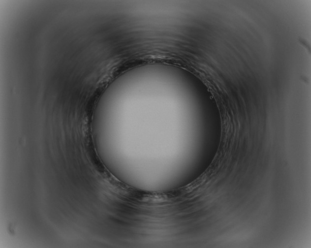 X0000091970559200709061134