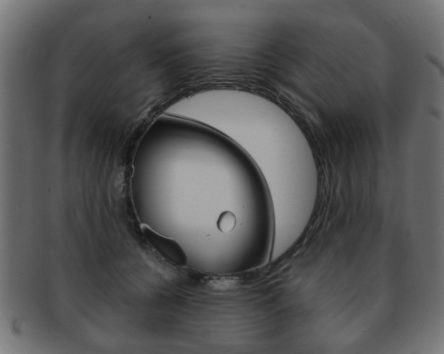 X0000091970560200709061134