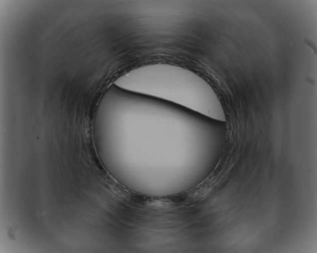 X0000091970561200709061134