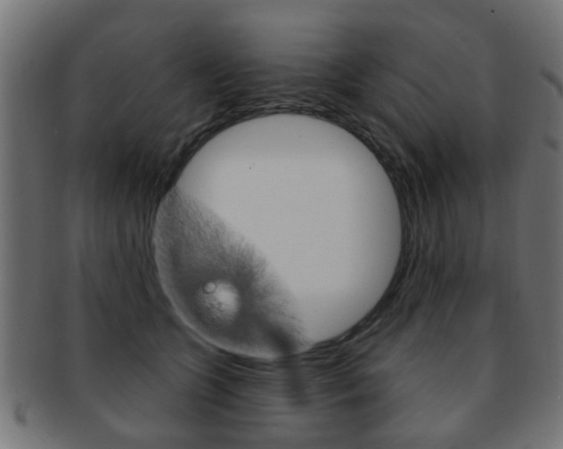 X0000091970563200709061134