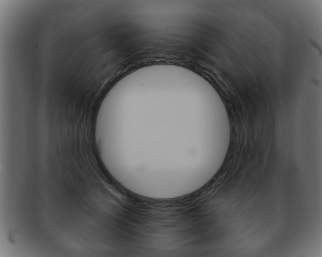 X0000091970564200709061134