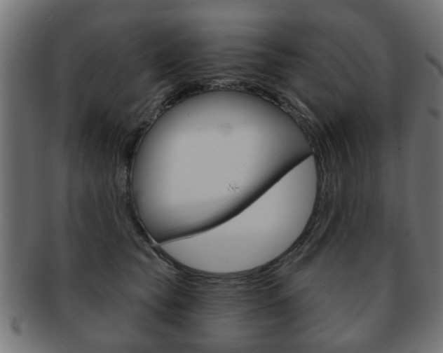 X0000091970565200709061134