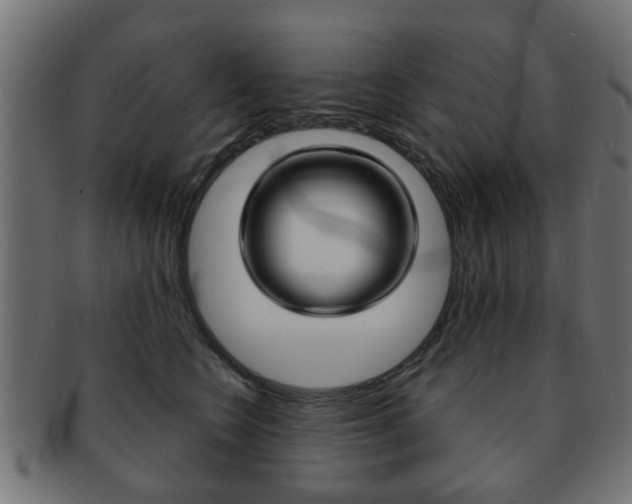 X0000091970566200709061134