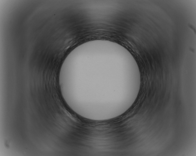 X0000091970568200709061134