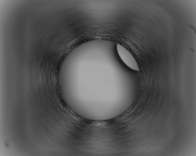 X0000091970569200709061134
