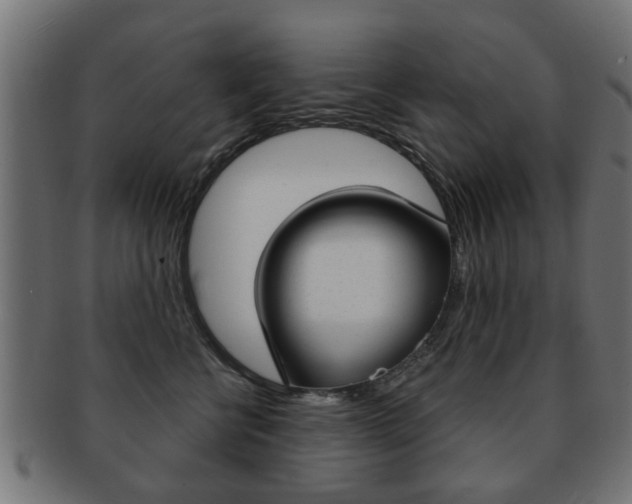 X0000091970570200709061134