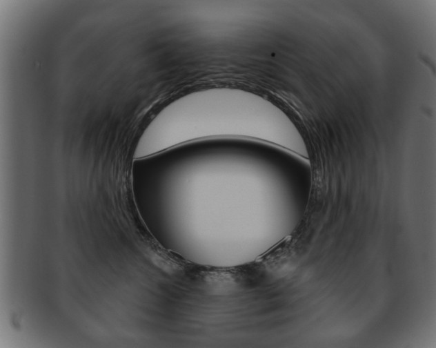 X0000091970572200709061134