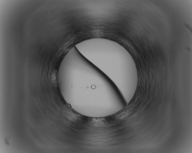X0000091970573200709061134