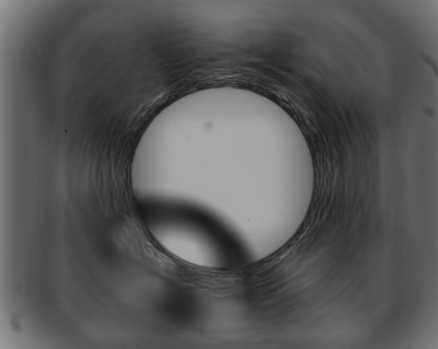 X0000091970574200709061134