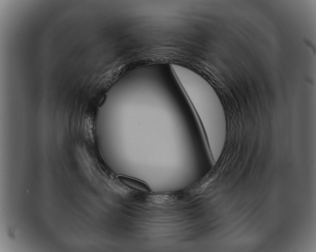X0000091970575200709061134