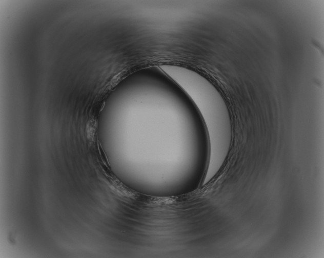 X0000091970576200709061134