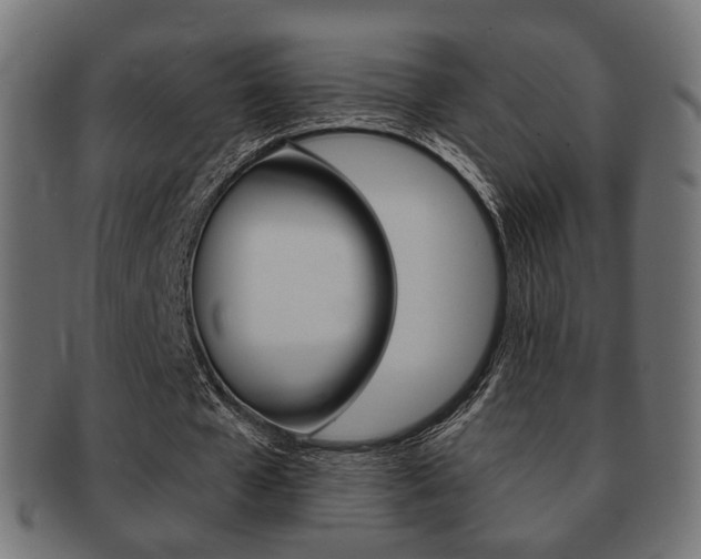 X0000091970577200709061133