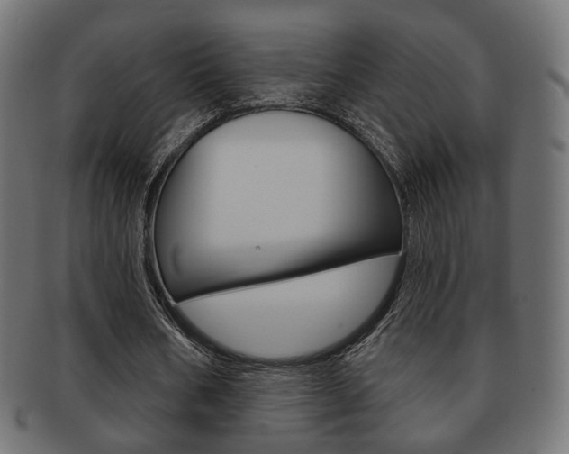 X0000091970578200709061133