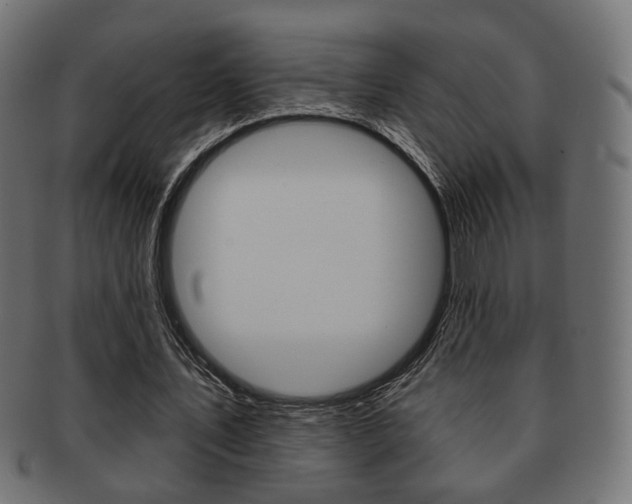 X0000091970579200709061133