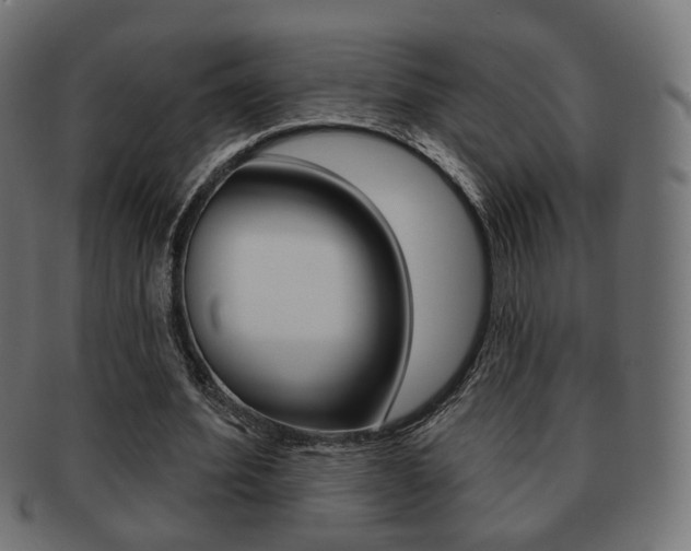 X0000091970580200709061133