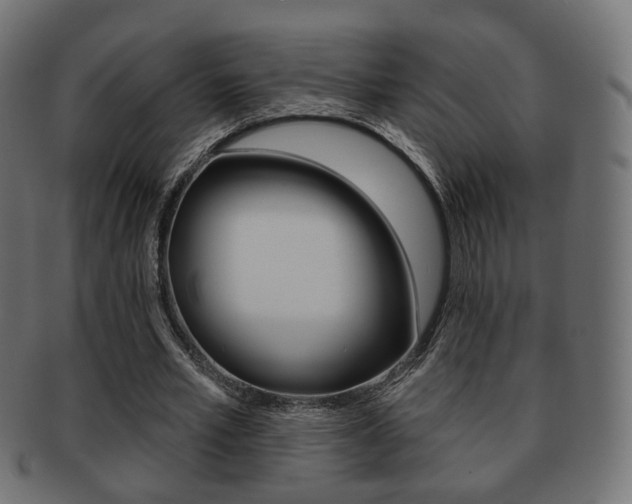 X0000091970581200709061133
