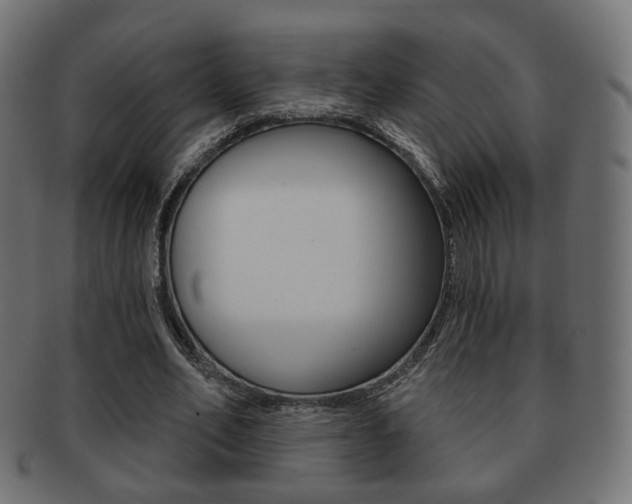 X0000091970582200709061133