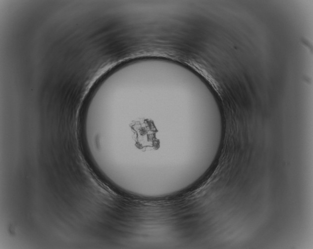 X0000091970584200709061133