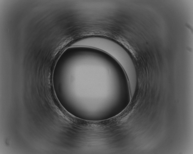 X0000091970585200709061133