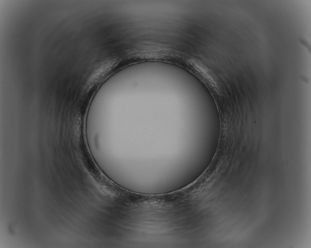 X0000091970586200709061133