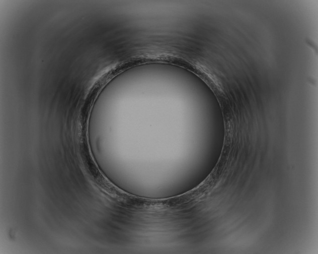 X0000091970587200709061133