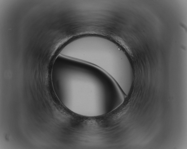 X0000091970588200709061133