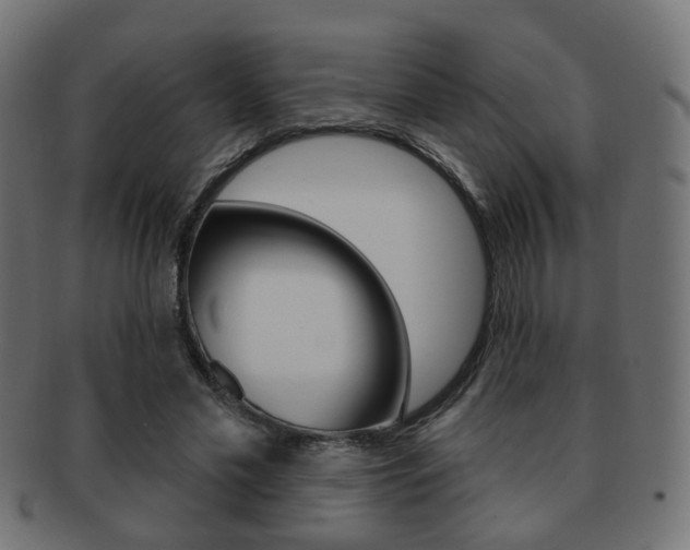 X0000091970589200709061133