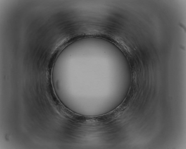 X0000091970591200709061133