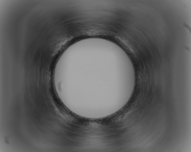 X0000091970592200709061133