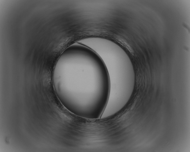 X0000091970593200709061133