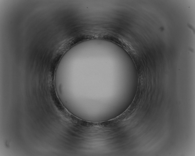 X0000091970594200709061133