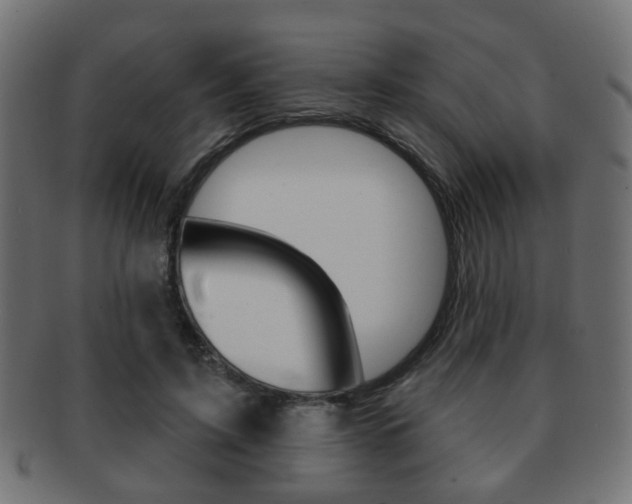 X0000091970595200709061133