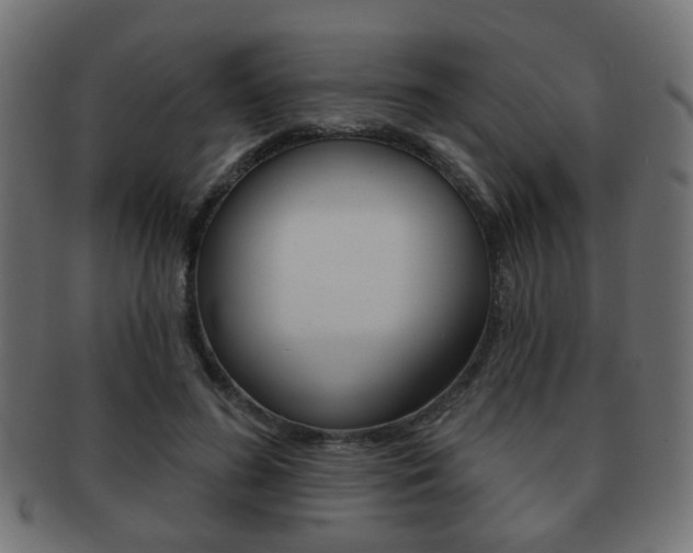 X0000091970596200709061133