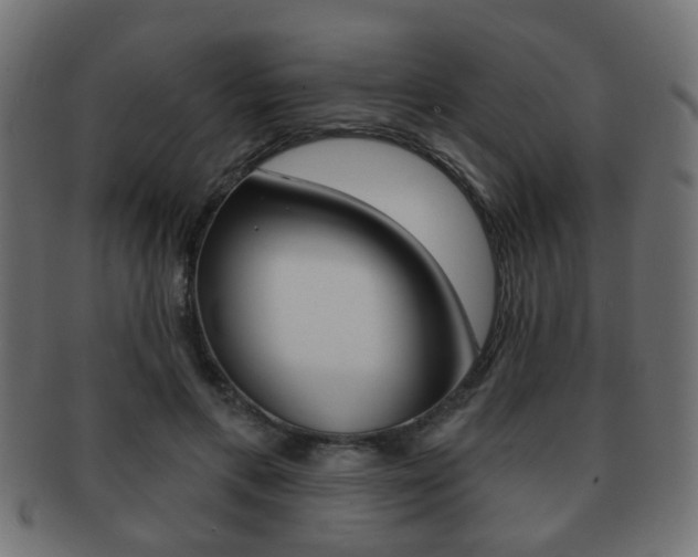 X0000091970597200709061133