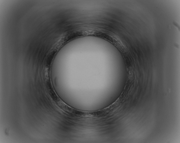X0000091970598200709061133