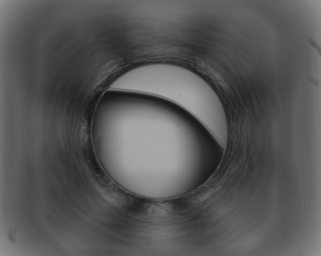 X0000091970599200709061133
