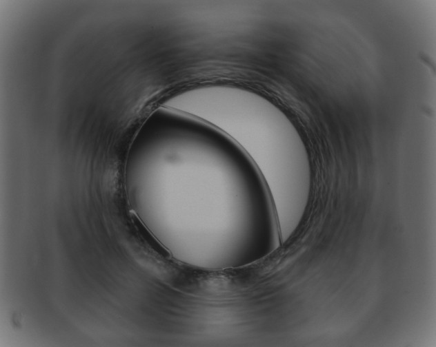 X0000091970600200709061133