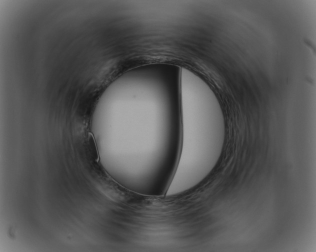 X0000091970601200709061133