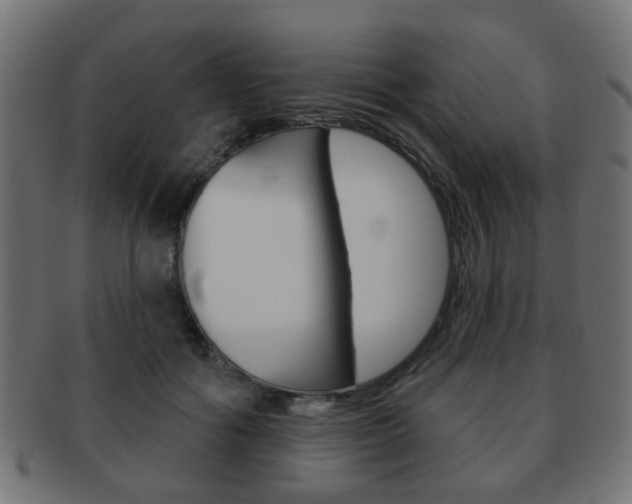 X0000091970602200709061133