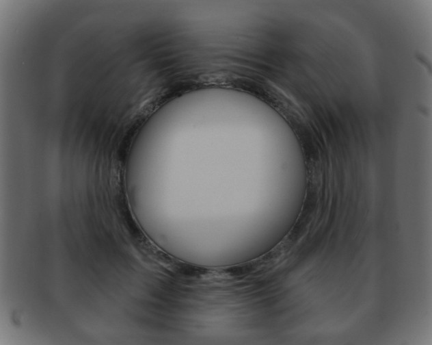 X0000091970603200709061133