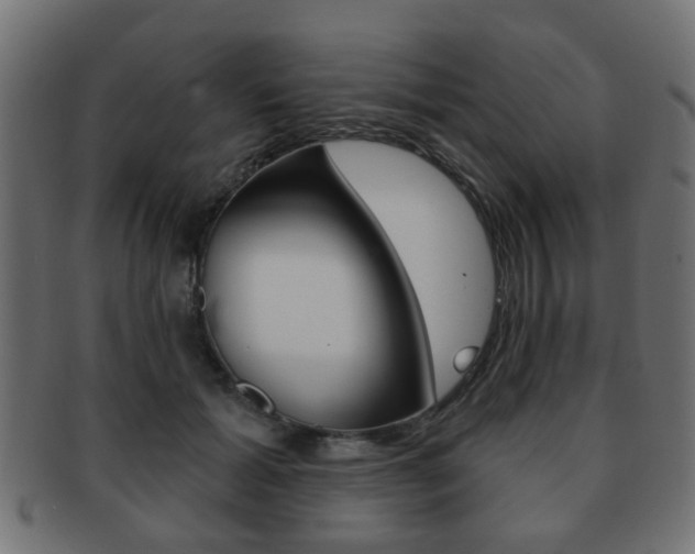 X0000091970605200709061133