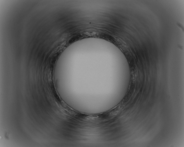 X0000091970606200709061133